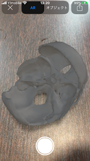 頭部解剖3Dモデル