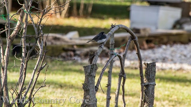 JANUARY 2015 (5 of 14)