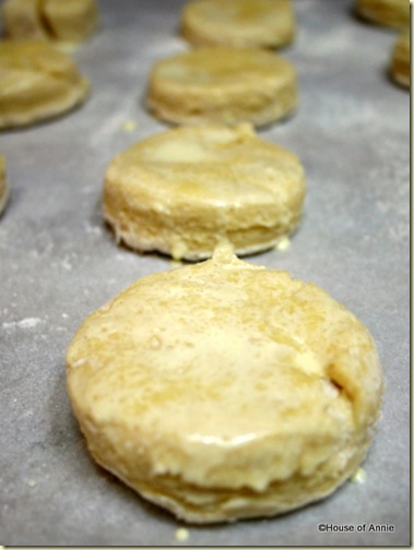 Shortcake Rounds Brushed With Cream