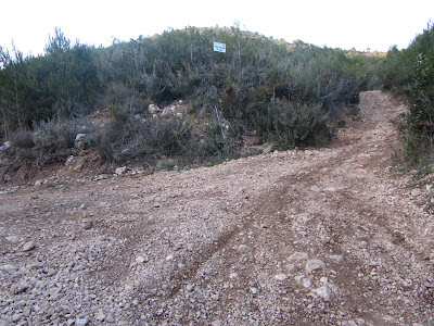 MAS BARTOMEU - PUIG DEL PI SOL - TORREGASSA, Camí a l'Obaga del Gassó