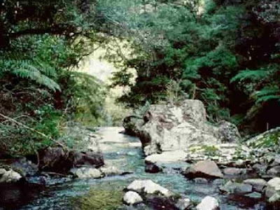 Floresta Nacional de Passa Quatro