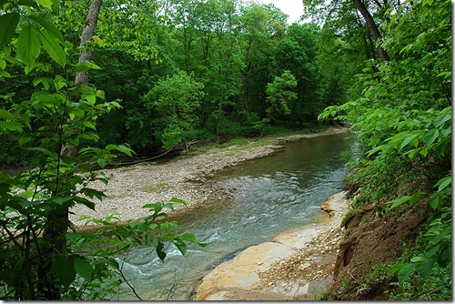 Forestville-Mystery Cave River