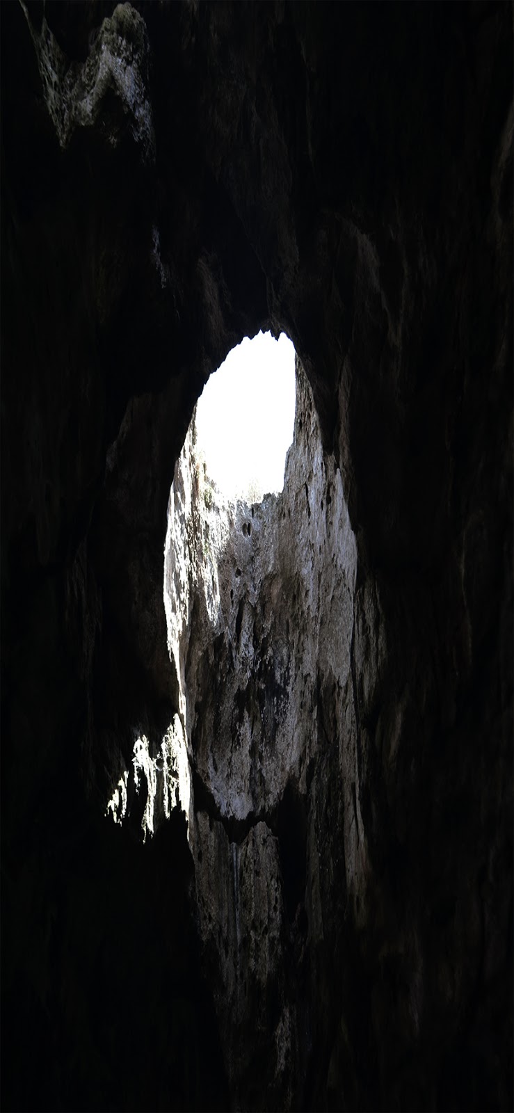 Wallpaper Cave