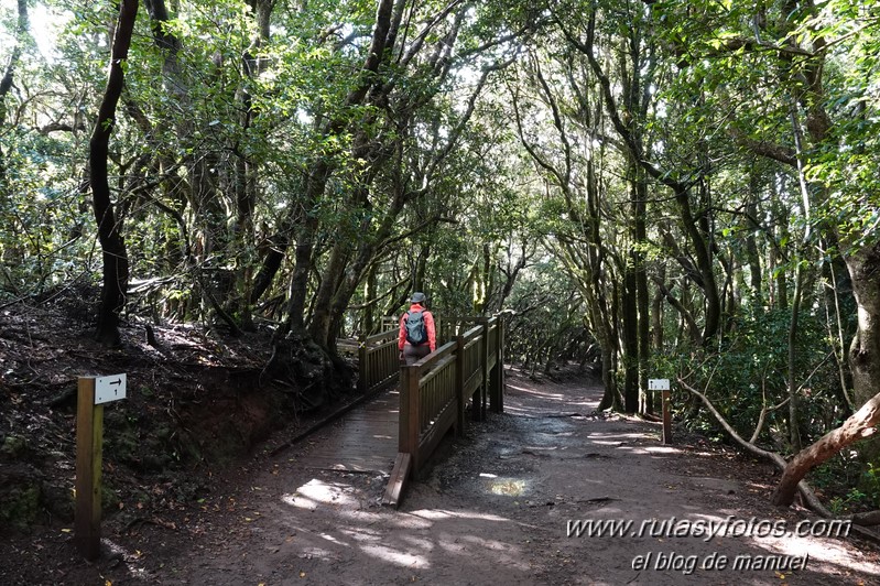 Sendero de los Sentidos - Sendero de los Enigmas