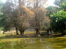 Horto Florestal de São Paulo ou Parque Estadual Albert Löfgren