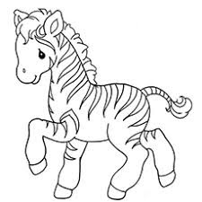 Cute Baby Zebras Coloring Pages Ideas