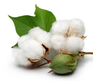 cotton