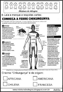 Simulado de português sobre dengue