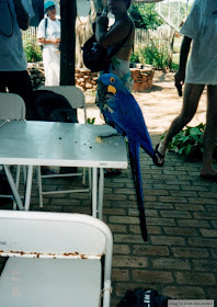 Bonito - Fazenda do Rio do Peixe