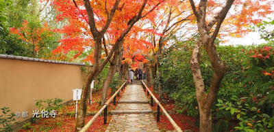 [京都] 光悦寺の紅葉