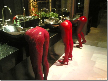 curiosas wc (6)