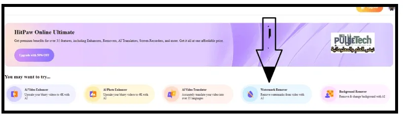 Hitpaw watermark remover