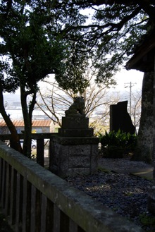 DSC 0249