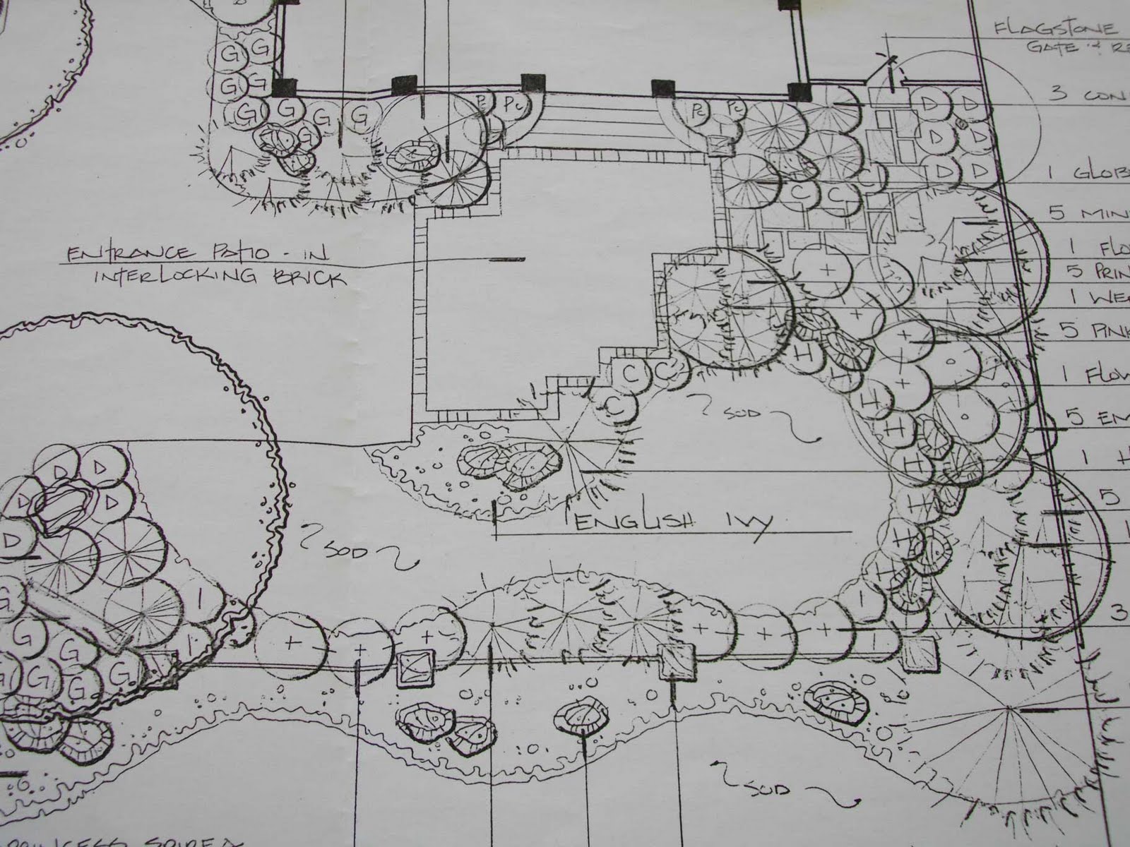 The Cheeky Designer A landscape plan