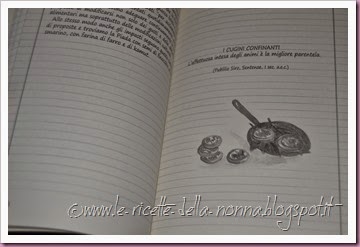 Ma sei di coccio (6)