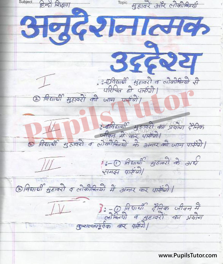 Muhavare Lokoktiya Lesson Plan in Hindi for B.Ed First Year - Second Year - DE.LE.D - DED - M.Ed - NIOS - BTC - BSTC - CBSE - NCERT Download PDF for FREE