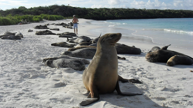 Floreana island,Galapagos