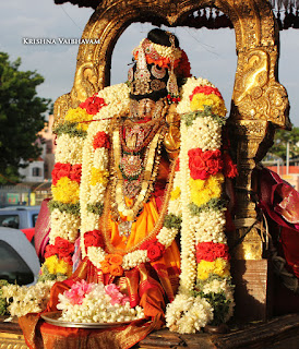 Sri Aandal,Aadipooram,Purappadu,Video, Divya Prabhandam,Sri Parthasarathy Perumal, Triplicane,Thiruvallikeni,Utsavam,