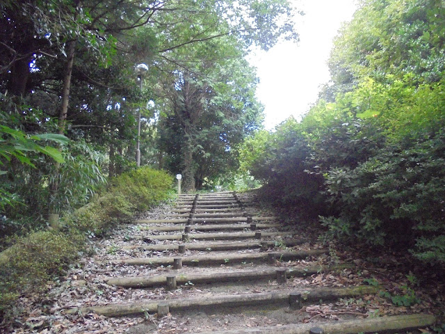この階段を登って丘の森に入ります