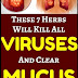 7 Herbs That Kill Viruses and Clear Mucus From Your Lungs