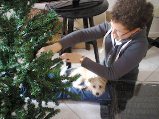 Me and Zoe decorating the Christmas tree a few years ago.
