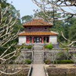 View album