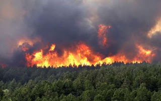  مهار نکردن آتش سوزی جنگلها در نظام آخوندها 