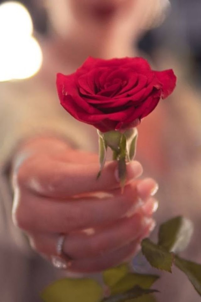 Rose Day Celebrate Tips 7th feb