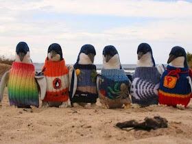Funny animals of the week - 21 March 2014 (40 pics), funny animal pictures, penguins wear sweaters