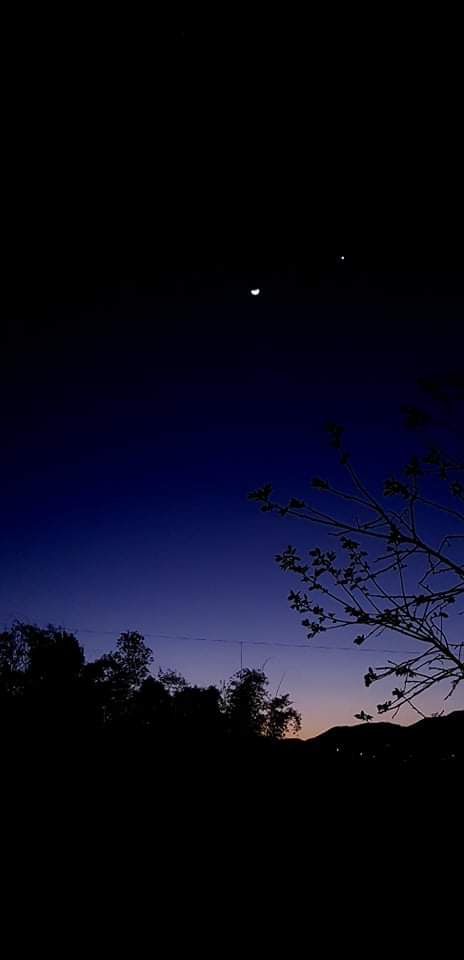 Evening moon
