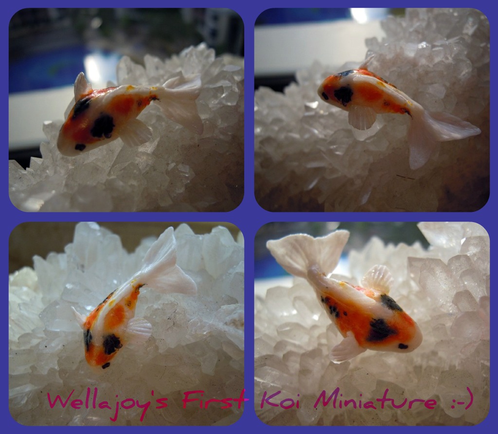 Wellajoy's Miniature: Koi Fish with Videos