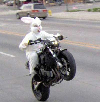 happy easter funny pics. funny easter