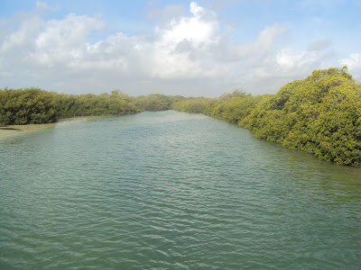 Manglares de Sian Ka'an