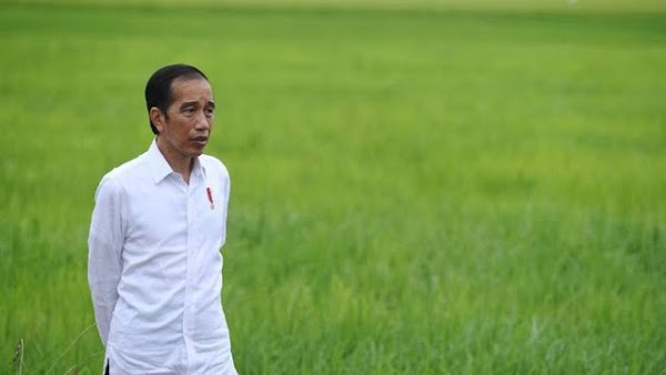 Pengamat Sebut Penyebab Rapor Merah Kabinet Jokowi karena Leadership Jokowi Lemah 