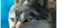 The Wolf Online Mod Apk  v1.4 For Android (Unlimited Money) Gratis