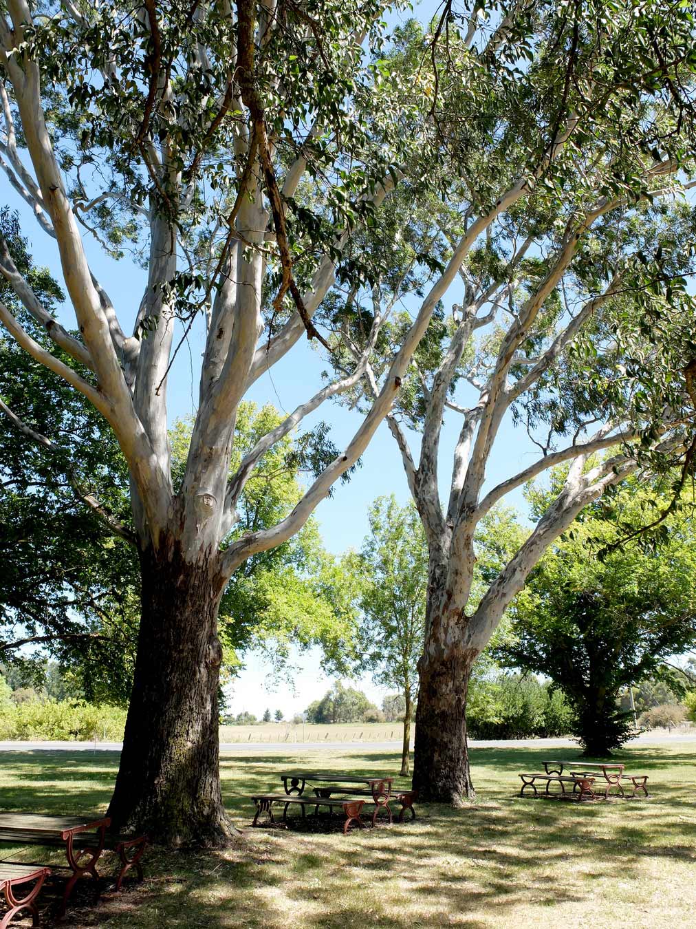 Kyneton Mineral Springs