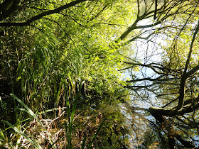 Ainsdale Sandhills Nature Reserve