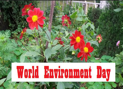 World Environment Day Theme History facts in Brief