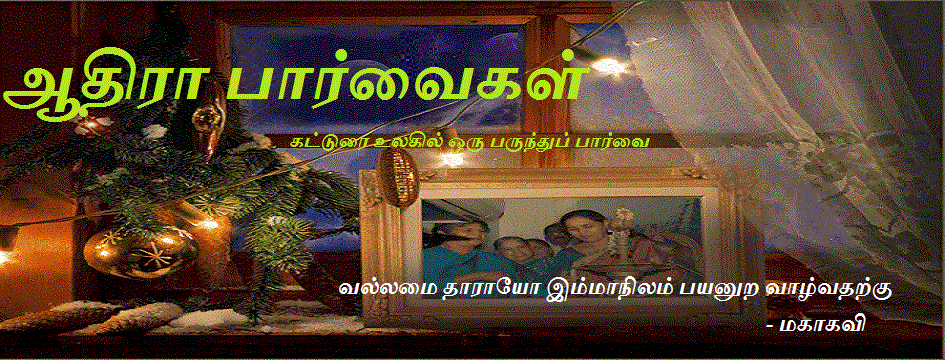 ஆதிரா பார்வைகள்