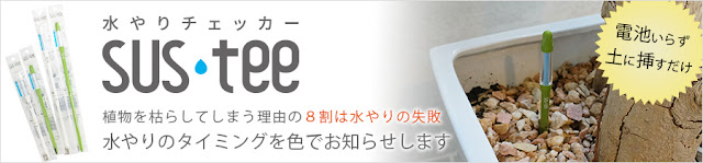 観葉植物の水やりに失敗しないSUSTEE水やりチェッカー