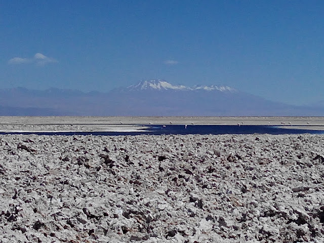 Laguna Chaxa Atacama