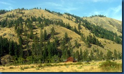 Mt. Rainier (3)