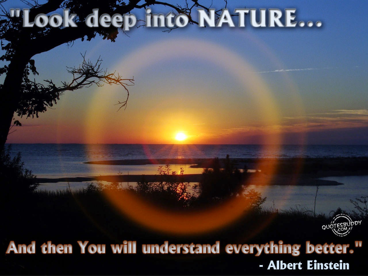 Nature Quotes