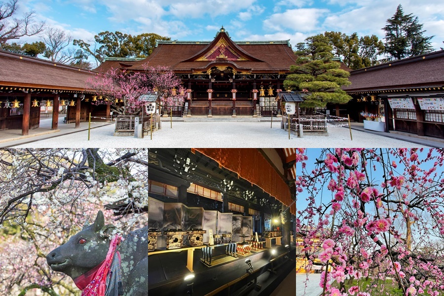 ศาลเจ้าคิตาโนะ เท็นมังกุ (Kitano Tenmangu Shrine: ศาลเจ้าคิตาโนะ เท็มมากุ: 北野天満宮)