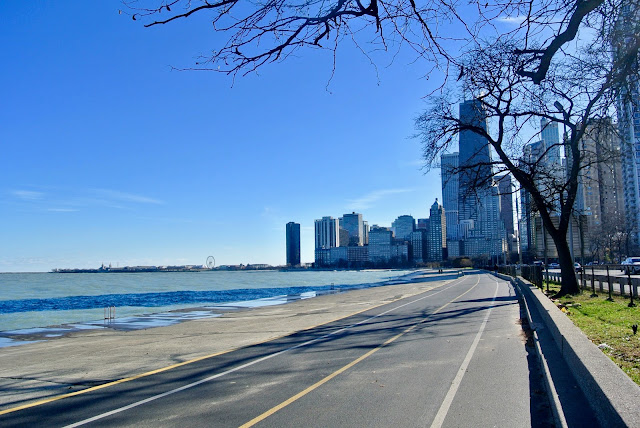 chicago skyline lake shore beach lake michigan