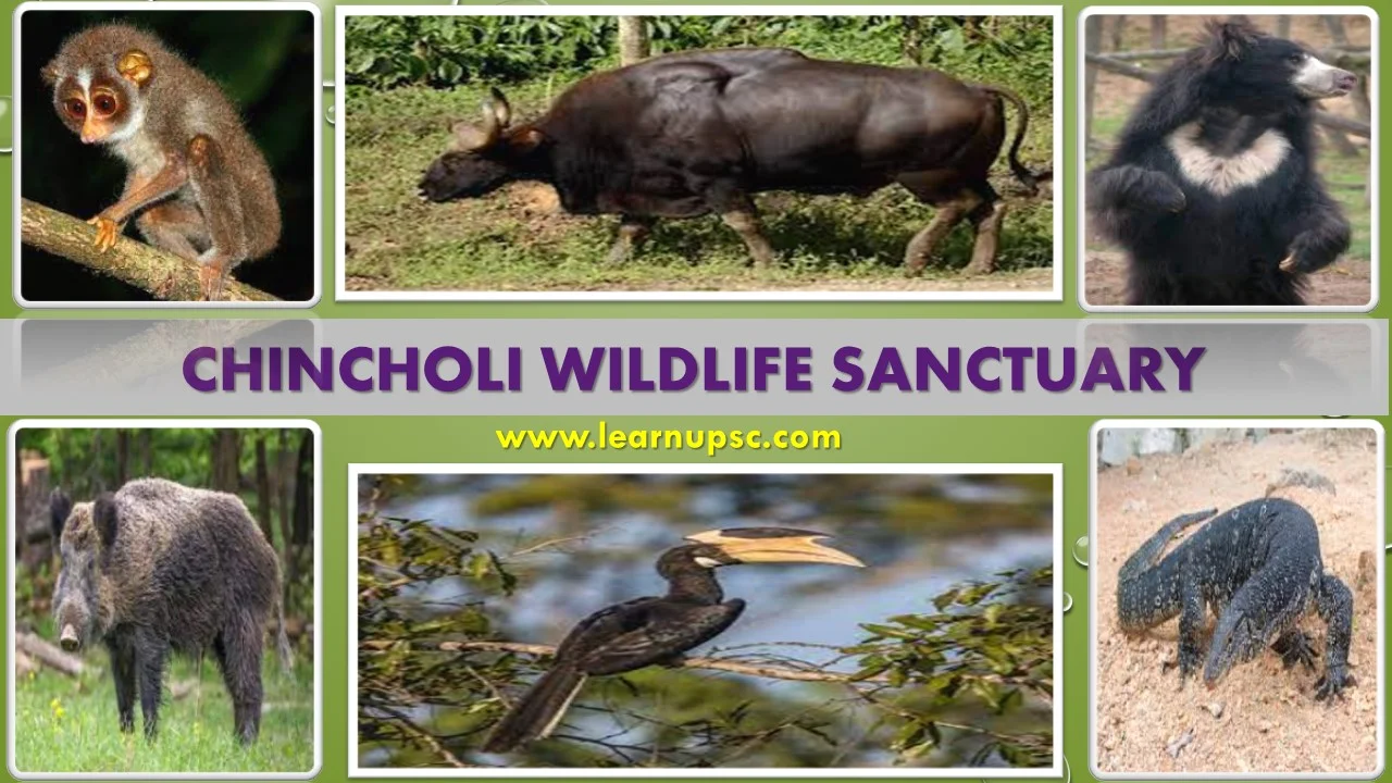 Chincholi Wildlife Sanctuary