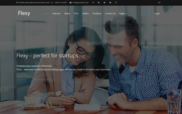 Download FLEXY - Business MultiPurpose Theme