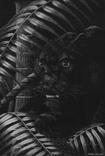 black leopard hunting at night drawing with white charcoal