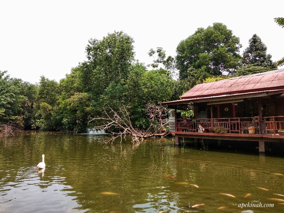 Farm In The City Di Seri Kembangan