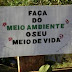 Ética para com o Meio Ambiente.